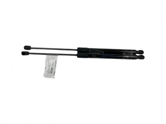 PISTONCINI COFANO POST. CITROEN C3 AirCross 39197491 (17)
