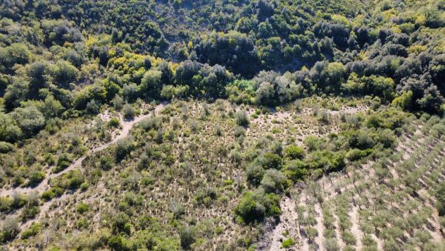 Agricolo in Via Piano Grande - Foto 3