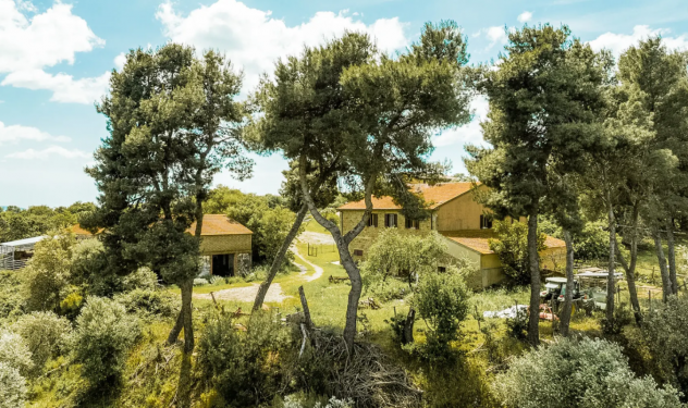Villa in vendita a Magliano in Toscana 1100 mq Rif: 1311185 - Foto 3
