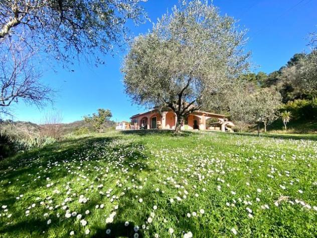 Villa in vendita a Sarzana 350 mq Rif: 1033523