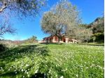 Villa in vendita a Sarzana 350 mq  Rif: 1033523