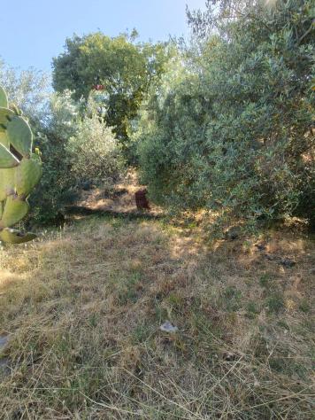 Terreno Edificabile in vendita a Trecastagni - Foto 13