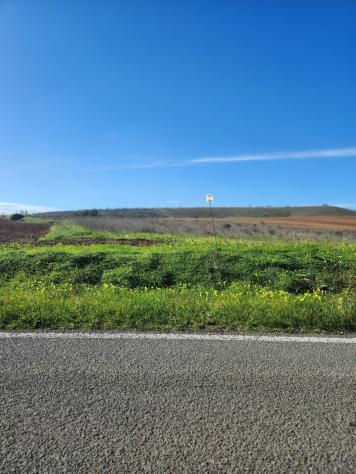 Agricolo in vendita a Ussana