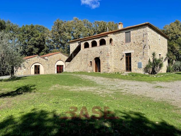 Azienda Agricola in vendita a Guardistallo - Foto 10