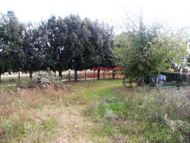 VIA CASALE DI SPANORA - CASA RURALE E TERRENO AGRICOLO IN VENDITA - Foto 15