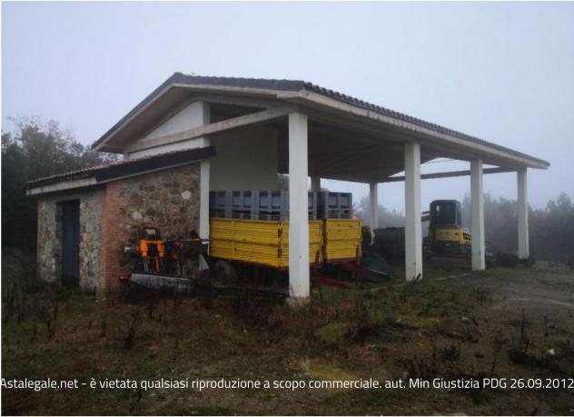 R.G.E. 128/2023 Siena - Foto 6