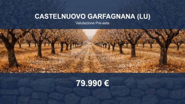 Immobile in asta di 3310 m² in vendita a Castelnuovo di Garfagnana