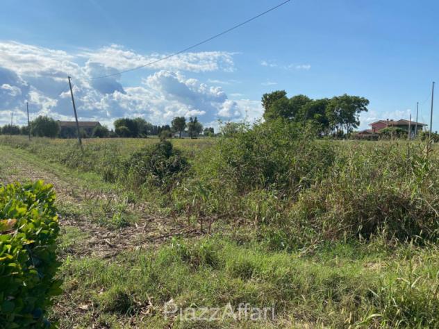 Terreno a Codevigo - Rif. COD38 - Foto 4