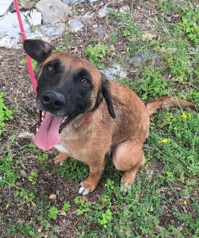 Maila 3 anni Taglia media contenuta - Foto 3