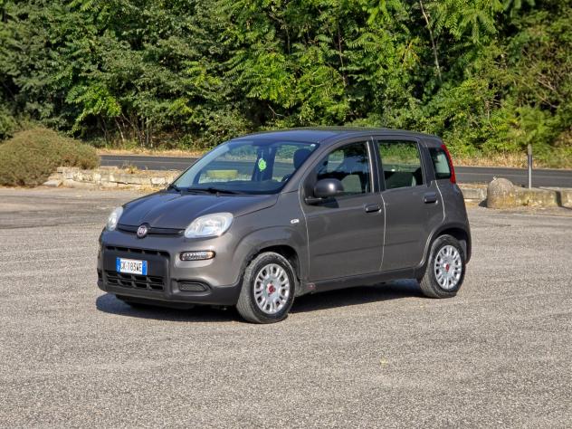 Fiat Panda 1.0 FireFly S&S Hybrid CV-69 E6 Manuale NEO 2022 - Foto 3