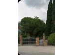 Appartamento 40 mq  in Affitto a Magione