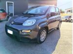 FIAT Panda 1.0 FireFly S&S Hybrid rif. 23751006