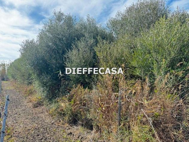 V2439 - In vendita a Marsala villetta in periferia - Foto 10