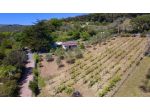 Villa in vendita a Rosignano Marittimo
