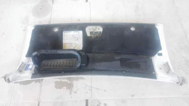 Cofano Motore con cerniere FIAT Ducato serie 250 2007 - Foto 3
