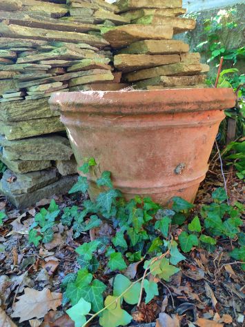Vasi in terracotta, grandi - Foto 5