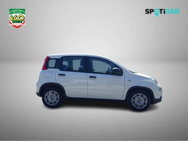 FIAT Panda 1.0 FireFly S&S Hybrid rif. 23820569 - Foto 4