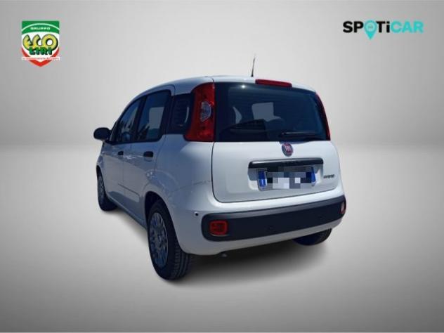 FIAT Pandina 1.0 65 CV Hybrid Icon+GPL rif. 24175574 - Foto 7