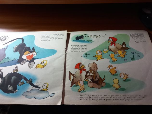 Le avventure di robinson - Foto 3