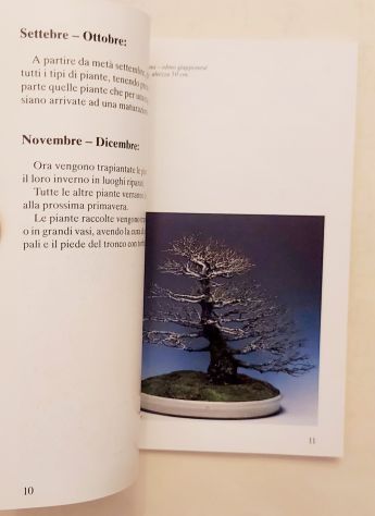 La cura del bonsai.Cura annuale di 12 mesi di Horst Krekeler Ed.Multi Druck,1984 - Foto 3