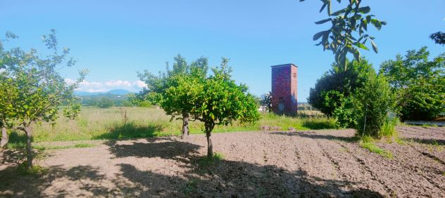 49 terreno