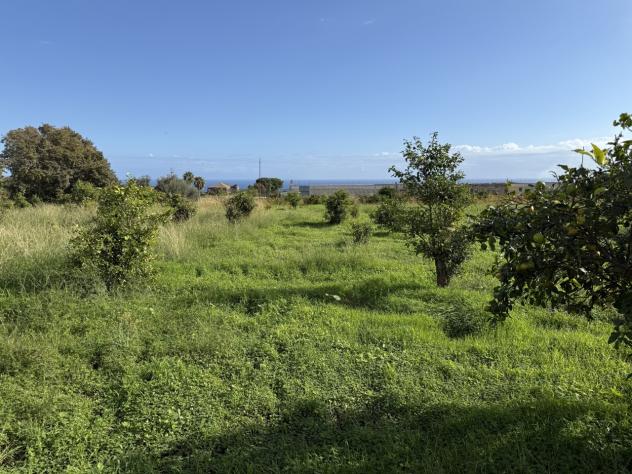 Agricolo in vendita a Giarre - Foto 8