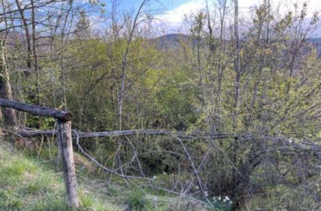 Immobile in asta di 14363 m² in vendita a Monzuno - Foto 3