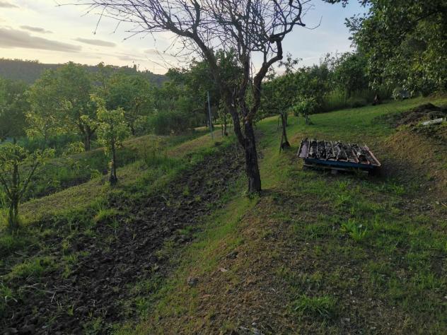 Terreno agricolo in vendita a Poggibonsi 3500 mq Rif: 1335508 - Foto 5