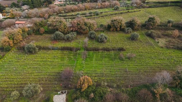 Terreno Edificabile in vendita a Randazzo, Montelaguardia - Foto 20