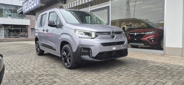CITROEN Berlingo 3ª serie Berlingo BlueHDi 100 S&S Combi Plus