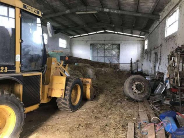 Immobile in asta di 1700 m² in vendita a Nulvi - Foto 17