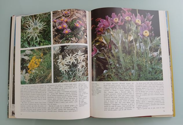 FLORA ALPINA Istituto Geografico De Agostini 1973 - Foto 6