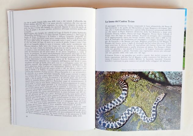 Animali delle nostre Alpi di Peter Ortner 2°Ed.Athesia  Bolzano, gennaio 2007 - Foto 5