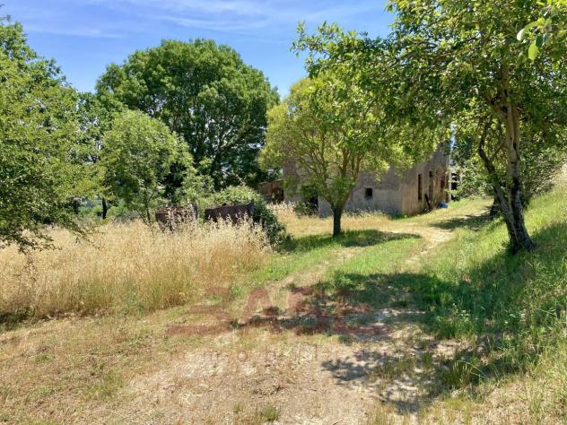 Casale in vendita a Montescudaio - Foto 20