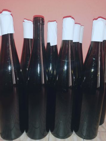 100 Bottiglie bianche o scure - Foto 2
