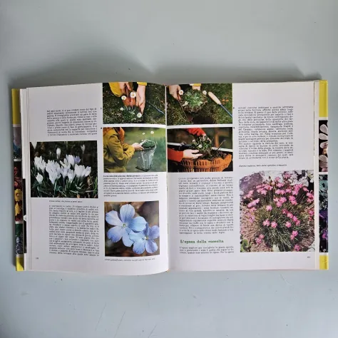 Terrazze e Giardini - Guida Pratica al Giardinaggio - European Book - 1991 - Foto 5
