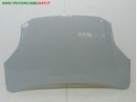 COFANO ANT. GRIGIO VERDE CHIARO 999-U1560904 Carrozzeria  Lamierati esterni &hellip;