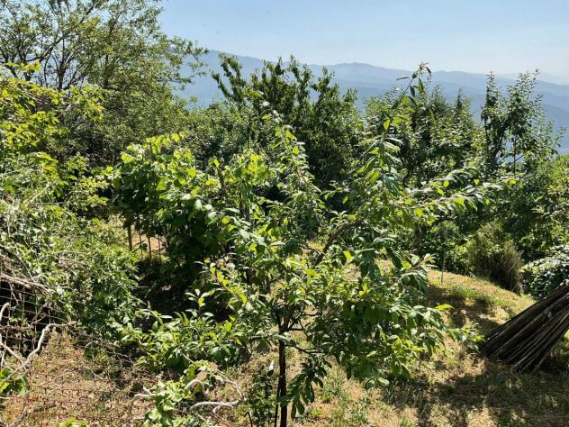 Rustico in vendita a Pistoia - Foto 10