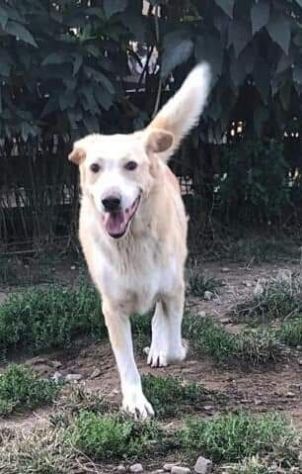 Amedo 9anni NON HA MAI AVUTO 1CASA!PIACENZA SOS