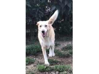 Amedo 9anni NON HA MAI AVUTO 1CASA!PIACENZA SOS
