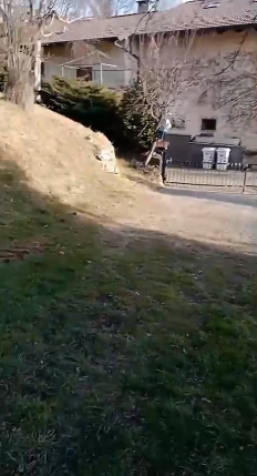 TERRENO AGRICOLO DA PRIVATO - Foto 5
