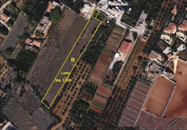 V1411 - In vendita a Marsala terreno agricolo periferia