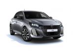 Peugeot 208 Business Turbo benzina 100