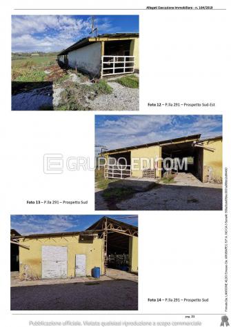 Fabbricati per attività agricole in vendita a Montebuono - Rif. 4547955