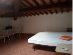 Stanza/Posto Letto in affitto a Putignano Pisano - Pisa 18 mq  Rif: 899593