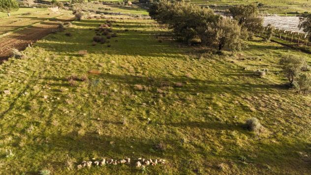 Terreno in vendita a Caltagirone - Foto 12