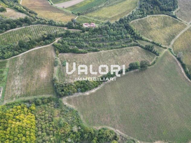 PODERE AGRICOLO DI CIRCA HA 31 OLTRE A CORTE CON CASA COLONICA E SERVIZI - Foto 19