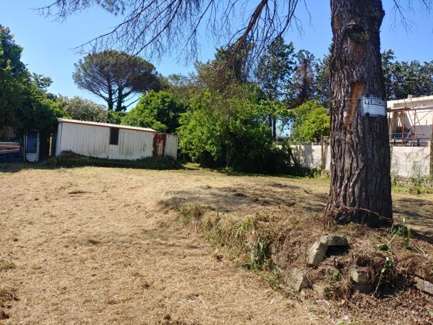 Terreno - Foto 2