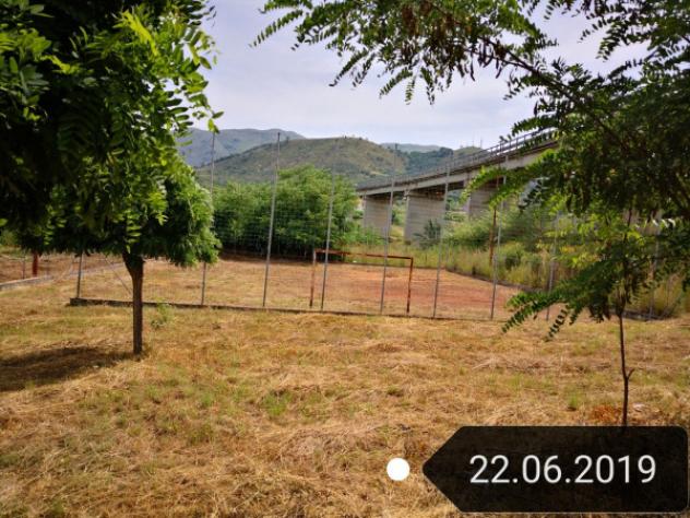 Immobile in asta di 10500 m² in vendita a San Nicola Arcella - Foto 2