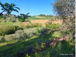Terreno Agricolo in vendita